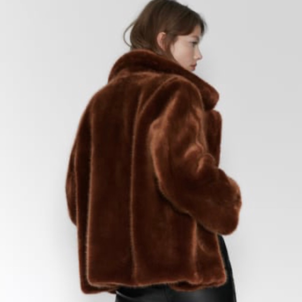 ZARA Faux Fur Coat:Brick, US  L - Picture 4 of 10